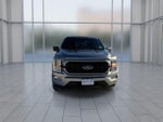 2021 F-150 Thumbnail 3