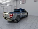 2021 F-150 Thumbnail 8