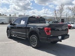 2022 F-150 Thumbnail 7