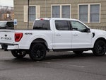 2022 F-150 Thumbnail 4