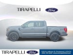 2022 F-150 Thumbnail 4