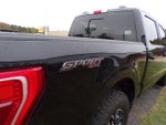 2022 F-150 Thumbnail 7