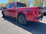 2022 F-150 Thumbnail 6