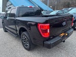2022 F-150 Thumbnail 7