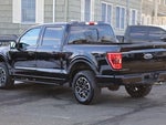 2023 F-150 Thumbnail 9