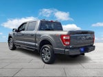 2023 F-150 Thumbnail 4