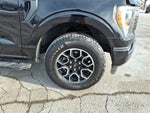 2023 F-150 Thumbnail 4