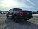 2023 F-150 Thumbnail 8