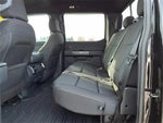 2023 F-150 Thumbnail 10