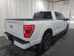 2023 F-150 Thumbnail 3
