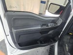 2023 F-150 Thumbnail 8