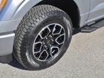 2023 F-150 Thumbnail 6