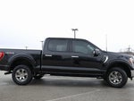 2023 F-150 Thumbnail 7