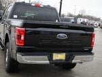 2023 F-150 Thumbnail 14