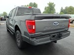 2023 F-150 Thumbnail 4