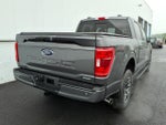 2023 F-150 Thumbnail 6