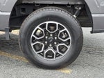 2023 F-150 Thumbnail 8