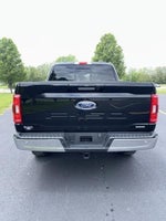 2023 F-150 Thumbnail 3