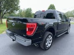 2023 F-150 Thumbnail 28