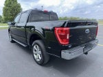 2023 F-150 Thumbnail 7