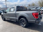 2023 F-150 Thumbnail 4