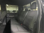 2023 F-150 Thumbnail 13