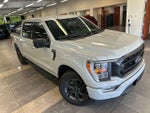 2023 F-150 Thumbnail 12