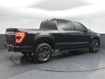 2023 F-150 Thumbnail 7
