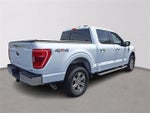 2023 F-150 Thumbnail 6