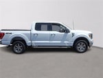 2023 F-150 Thumbnail 7