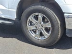 2023 F-150 Thumbnail 8