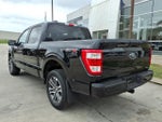 2023 F-150 Thumbnail 3