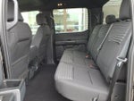 2023 F-150 Thumbnail 13