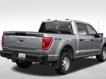 2023 F-150 Thumbnail 7