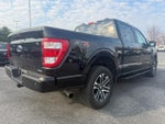 2023 F-150 Thumbnail 4
