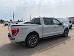 2023 F-150 Thumbnail 4