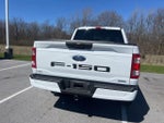 2023 F-150 Thumbnail 11