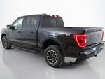 2023 F-150 Thumbnail 11