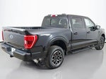 2023 F-150 Thumbnail 12