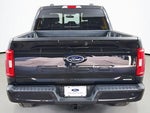 2023 F-150 Thumbnail 14