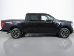 2023 F-150 Thumbnail 16