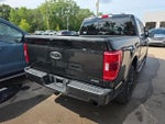 2023 F-150 Thumbnail 4