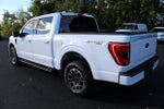 2023 F-150 Thumbnail 12