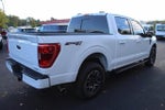 2023 F-150 Thumbnail 13