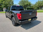 2023 F-150 Thumbnail 8