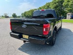2023 F-150 Thumbnail 10