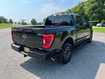 2023 F-150 Thumbnail 11