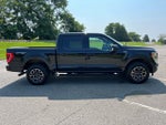 2023 F-150 Thumbnail 12