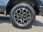2023 F-150 Thumbnail 15
