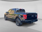 2023 F-150 Thumbnail 3
